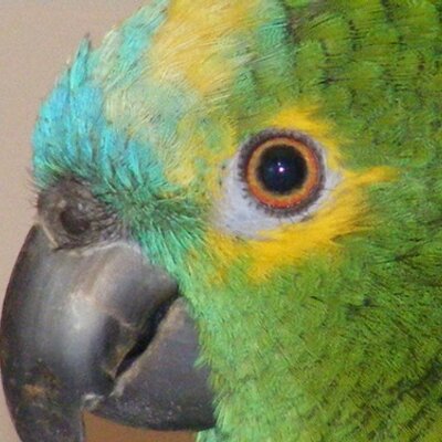 Profile Picture of Mary  Cooley (@hiswildkat) on Twitter