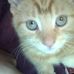 Profile Picture of George Finn Mantle (Heyyimagingerr) (@george.mantle.7) on Facebook