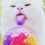 Profile Picture of thomas kerrigan (@tkmax6369) on Instagram