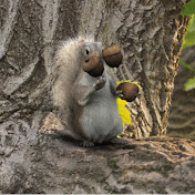 Profile Picture of Jake Darling (@jakedarling6841) on Youtube