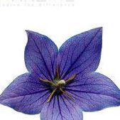 Profile Picture of Kristal Hughes (@kristal.hughes.5) on Facebook