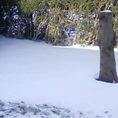 Profile Picture of Robin Snook (@Robinsnook3) on Twitter