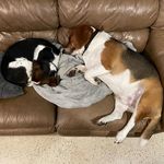 Profile Picture of MICKEY Davidson (@mickey.davidson) on Instagram