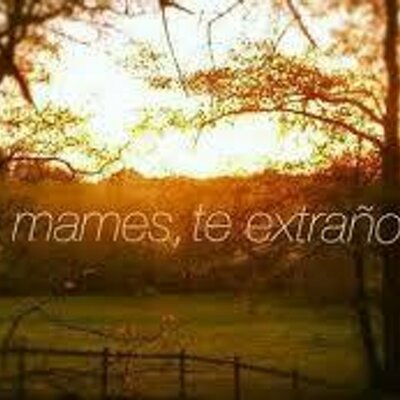 Profile Picture of Adonis Reyes (@adonisreyes7_) on Twitter