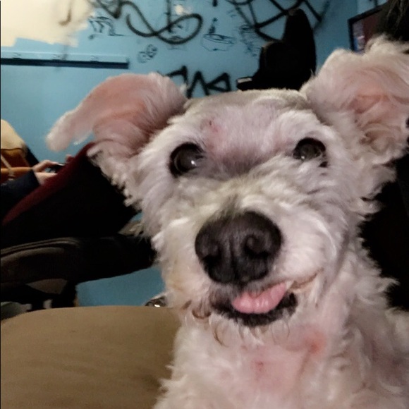 Profile Picture of Haley Hruza (@23haley000) on Poshmark