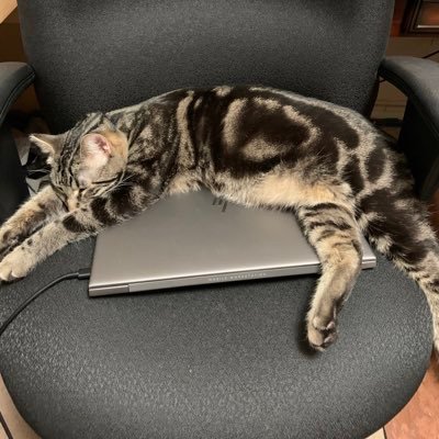 Profile Picture of Aaron Grant (@athleticsfan) on Twitter