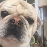 Profile Picture of Hope Mclaughlin (@hopemclaughlin25) on Instagram