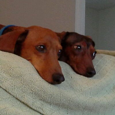 Profile Picture of Nancy Tremblay (@ntremblay1974) on Twitter