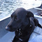 Profile Picture of Hal (@whferris) on Instagram