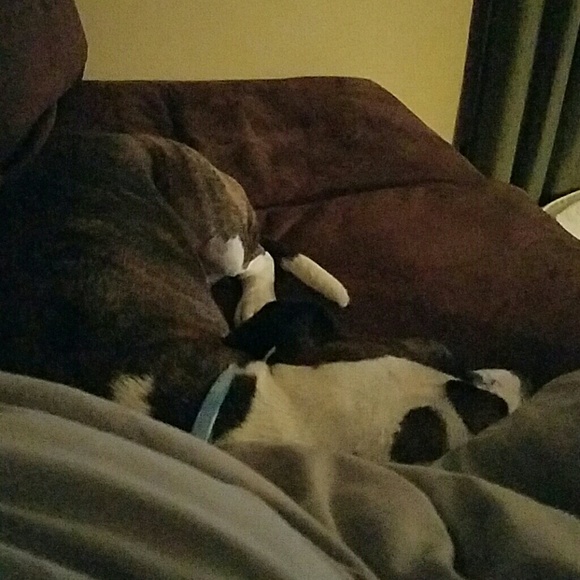 Profile Picture of Kc Fregine (@kcfregine) on Poshmark