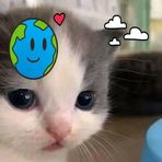 Profile Picture of Jesu Insano (@Jesu-Insano) on Facebook