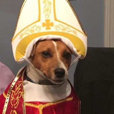 Profile Picture of Pope Jack Russell (@Karl_Eid) on Twitter