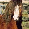 Profile Picture of Zach Hinch (@blaze_jack_joy_patches) on Myspace
