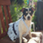 Rebecca Ackner - Flickr Profile Picture of Rebecca Ackner (@rackner) on Flickr