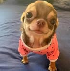 Profile Picture of Edith Julian (@ChimchimNJ) on Facebook