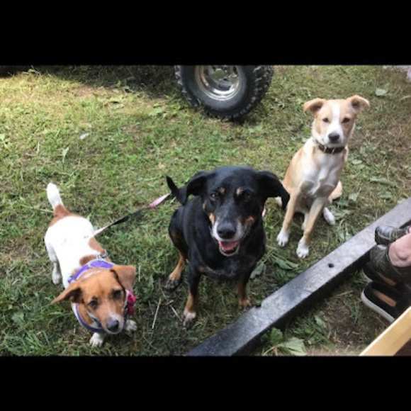 Profile Picture of Nadia Palombo (@nadia_palombo) on Poshmark