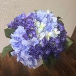 Profile Picture of Andrew (@tasiaxenos) on Instagram