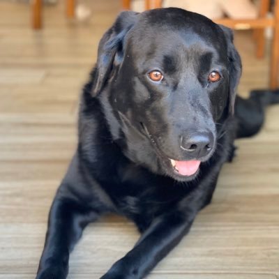 Profile Picture of KimSheldon (@KimSheldon19) on Twitter