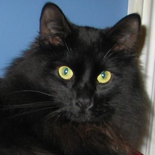 Profile Picture of Alex Pichette (@alex.pichette.1) on Facebook