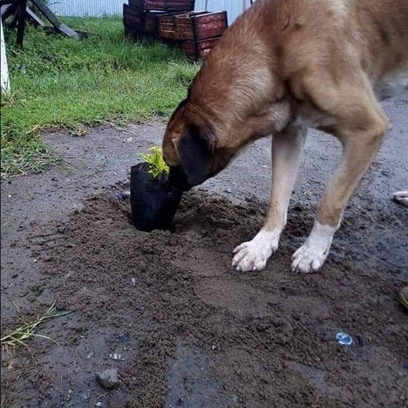 Mujib Adem - Poshmark Profile Picture of Mujib Adem (@mujibadem) on Poshmark