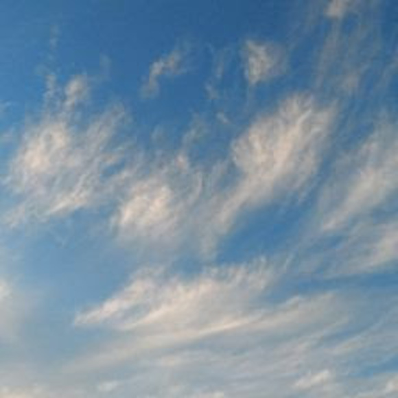 Profile Picture of April Jiménez (@aj2979422) on Poshmark