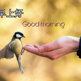 Profile Picture of GAN YEW CHENG (@cheng_yew) on Twitter