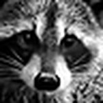 Profile Picture of John Littler (@johnl63) on Flickr