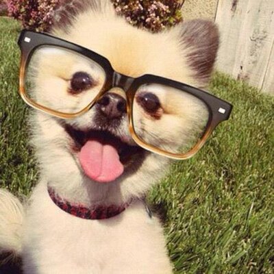 Profile Picture of Apurva Patel (@apurvapatel89) on Twitter