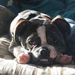 Profile Picture of Evan Torres (@evan_torres10) on Instagram