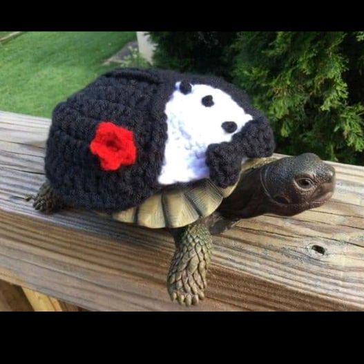 Profile Picture of bradstap (@bradstap) on Tiktok