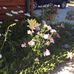 Profile Picture of Darrell Hull (@darrell.hull.165) on Facebook