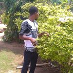 Profile Picture of Asante Johnson (@asante.johnson.9250) on Instagram