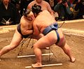 Profile Picture of Sumo - Wikipediaon Wikipedia