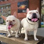 Profile Picture of 法鬥 粉粿姊姊❤️胖虎阿弟JieJie_ADi (@jiejie_adi) on Instagram