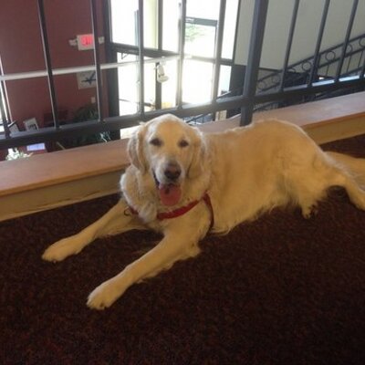 Profile Picture of Dave Effinger (@Hadley71) on Twitter