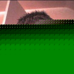 Profile Picture of Henry Ogden (@oggerzpalace) on Myspace