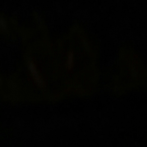 Profile Picture of Brenda Dunnick (@bdunnick) on Poshmark