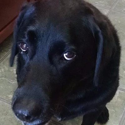 Profile Picture of Chris Munsterman (@cmunst11_chris) on Twitter