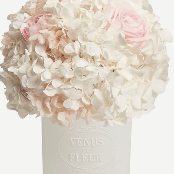 Profile Picture of Annika Balint (@annikabalint) on Poshmark