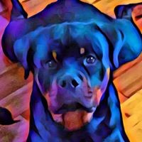 Profile Picture of Thad Smith (@thad-smith-19) on Quora