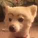 Profile Picture of Alex Le Chiem (@alexlechiem95) on Pinterest
