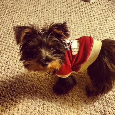 Profile Picture of Alyssa Schroeder (@aly_jo89) on Twitter