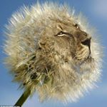 Profile Picture of Travis Corriher (@corrihertravis) on Instagram