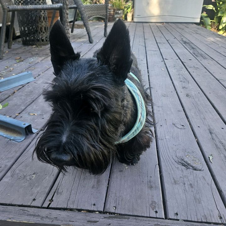 Profile Picture of michaelsandven (@michaelsandven) on Tiktok