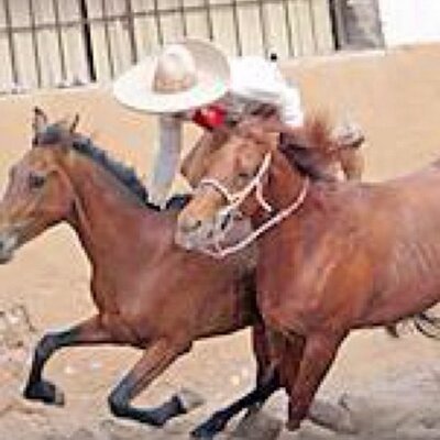 Profile Picture of Gregorio Jimenez (@CharroMaclovio) on Twitter