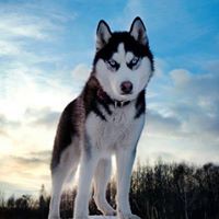 Profile Picture of Alejandro Perdomo (@alejandro-perdomo-13) on Quora