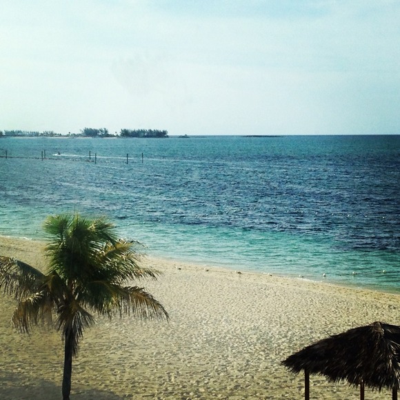 Profile Picture of Shelby Bonomolo (@gunshel91) on Poshmark