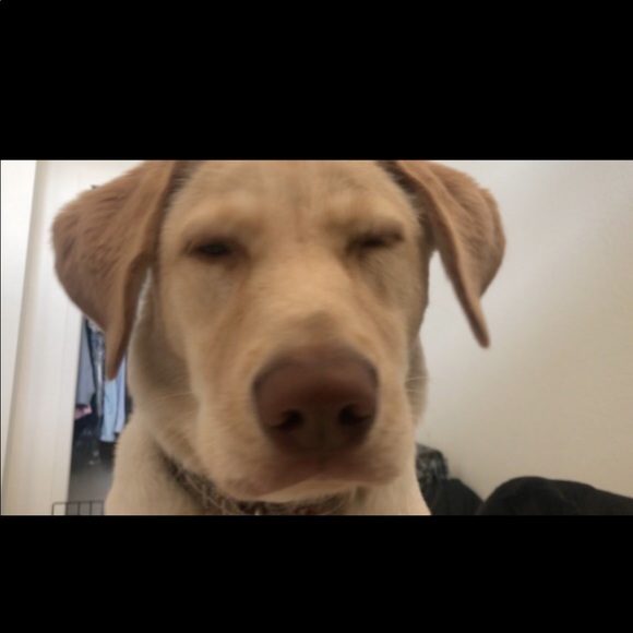 Profile Picture of Lenny Skorcz (@heskorcz) on Poshmark