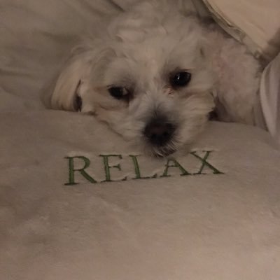 Profile Picture of Jim Tadlock (@K7JQT) on Twitter