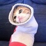 Profile Picture of Lance mendez (@brad9742533) on Instagram